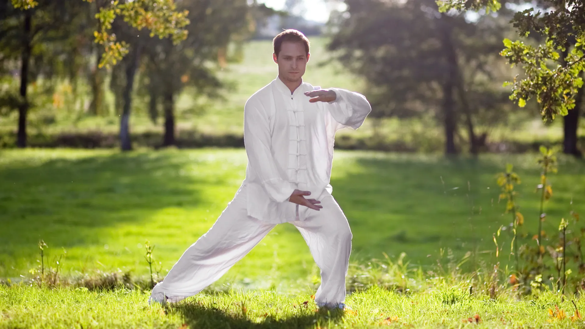 seminar-taiji-taijiquan-andao-institute-vaclav-lukes-2024-7-prosince
